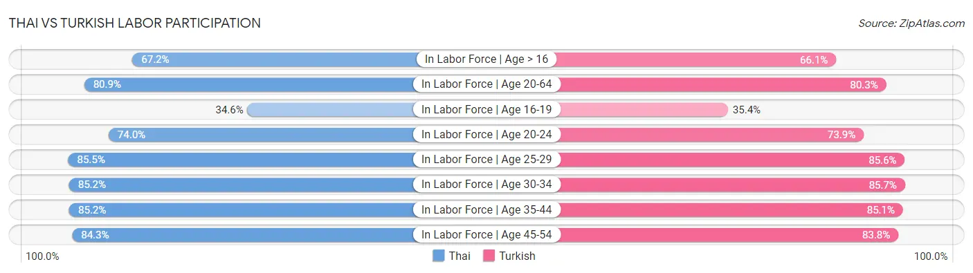Thai vs Turkish Labor Participation