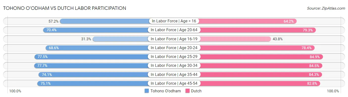 Tohono O'odham vs Dutch Labor Participation