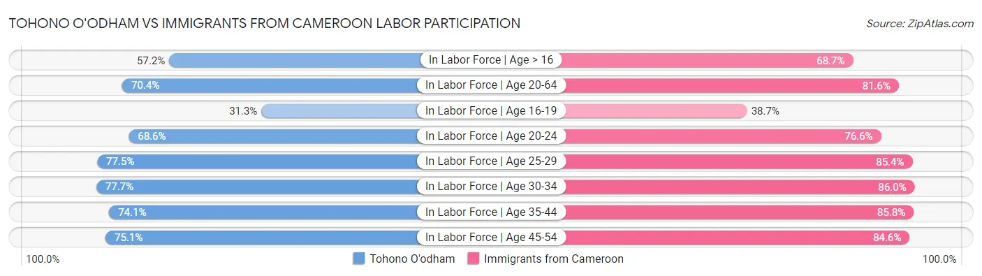Tohono O'odham vs Immigrants from Cameroon Labor Participation