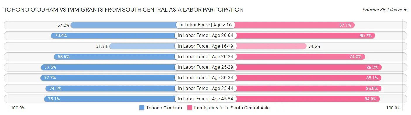 Tohono O'odham vs Immigrants from South Central Asia Labor Participation
