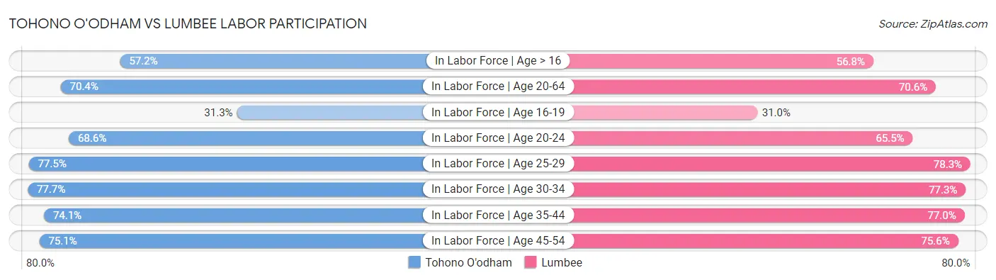 Tohono O'odham vs Lumbee Labor Participation