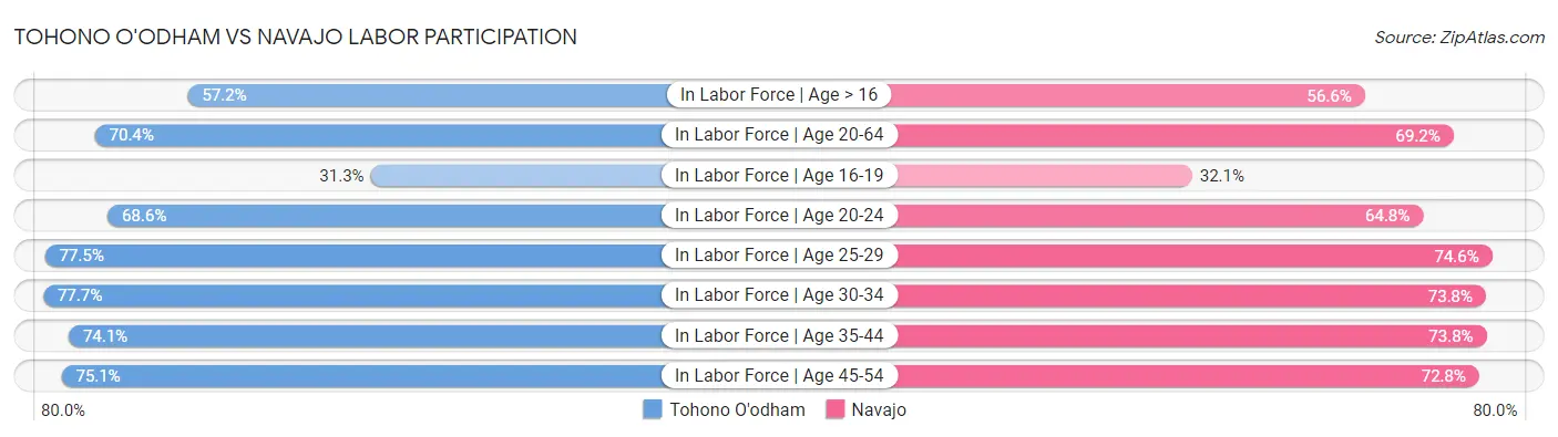 Tohono O'odham vs Navajo Labor Participation