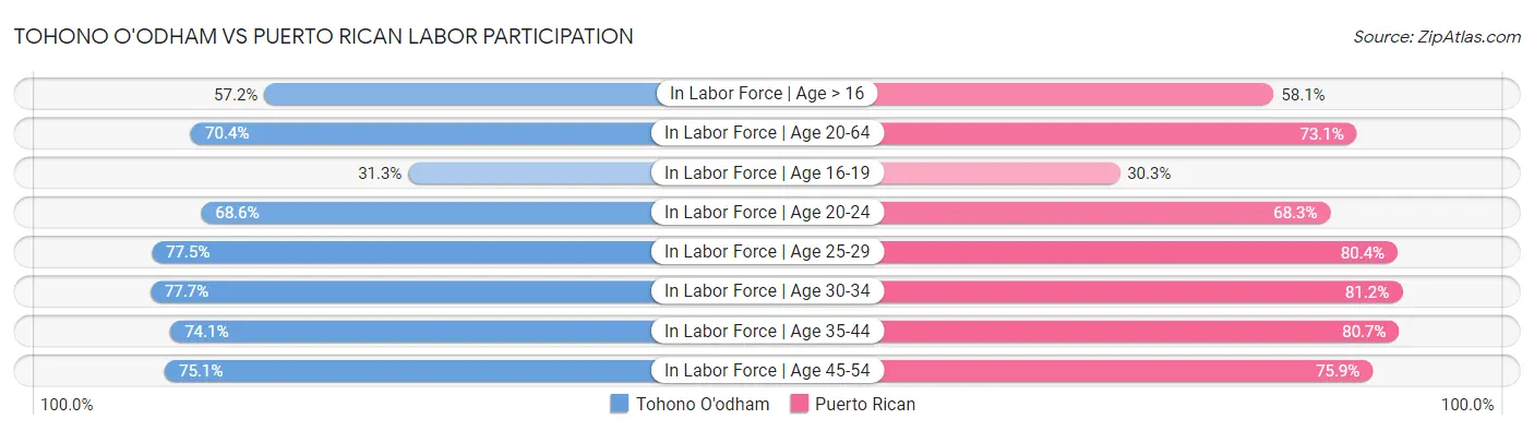 Tohono O'odham vs Puerto Rican Labor Participation