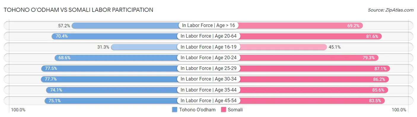 Tohono O'odham vs Somali Labor Participation