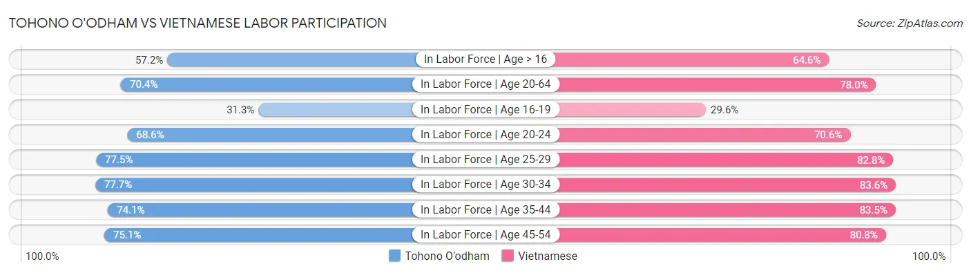 Tohono O'odham vs Vietnamese Labor Participation