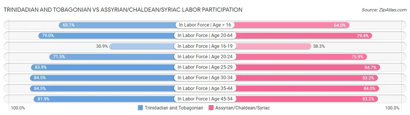 Trinidadian and Tobagonian vs Assyrian/Chaldean/Syriac Labor Participation