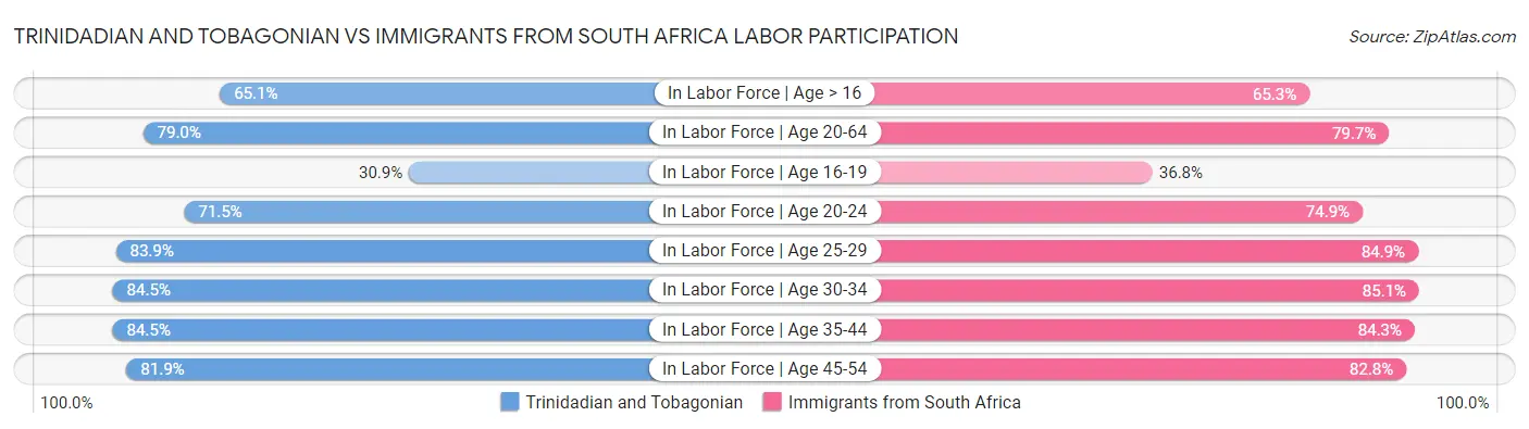 Trinidadian and Tobagonian vs Immigrants from South Africa Labor Participation