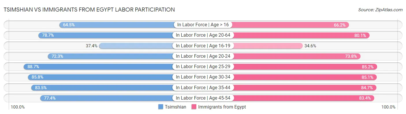 Tsimshian vs Immigrants from Egypt Labor Participation