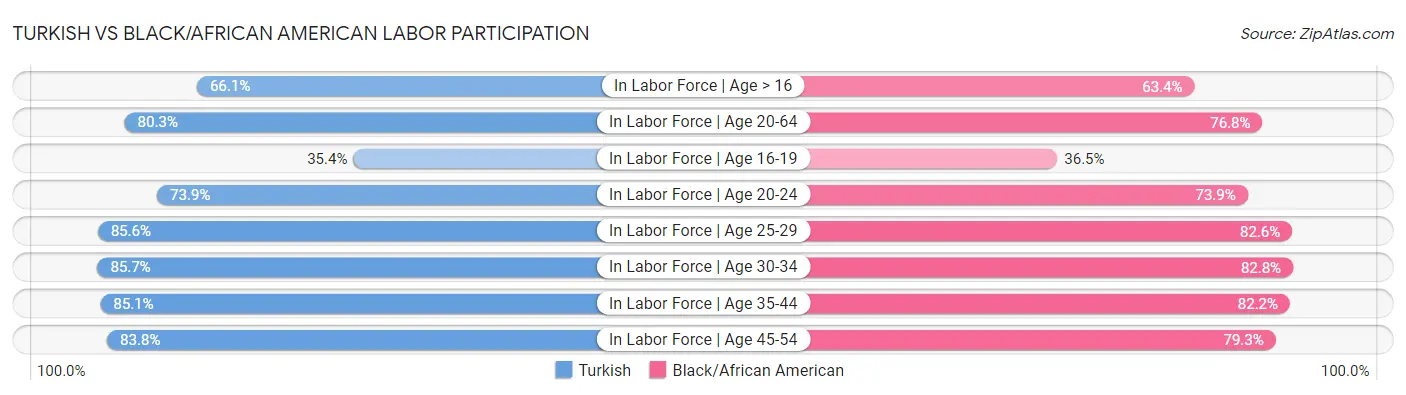 Turkish vs Black/African American Labor Participation