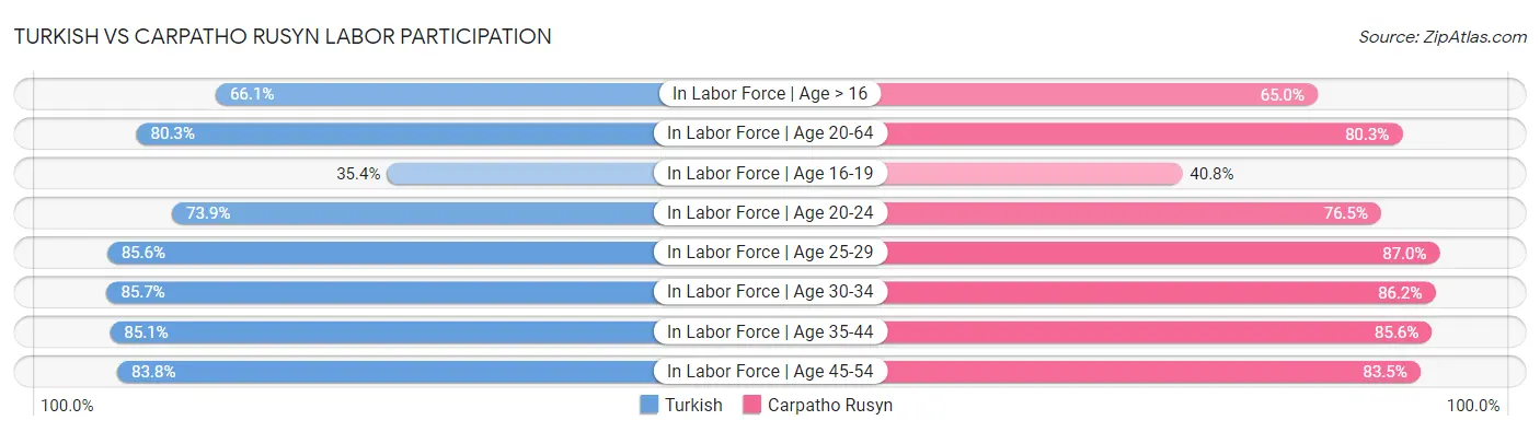 Turkish vs Carpatho Rusyn Labor Participation