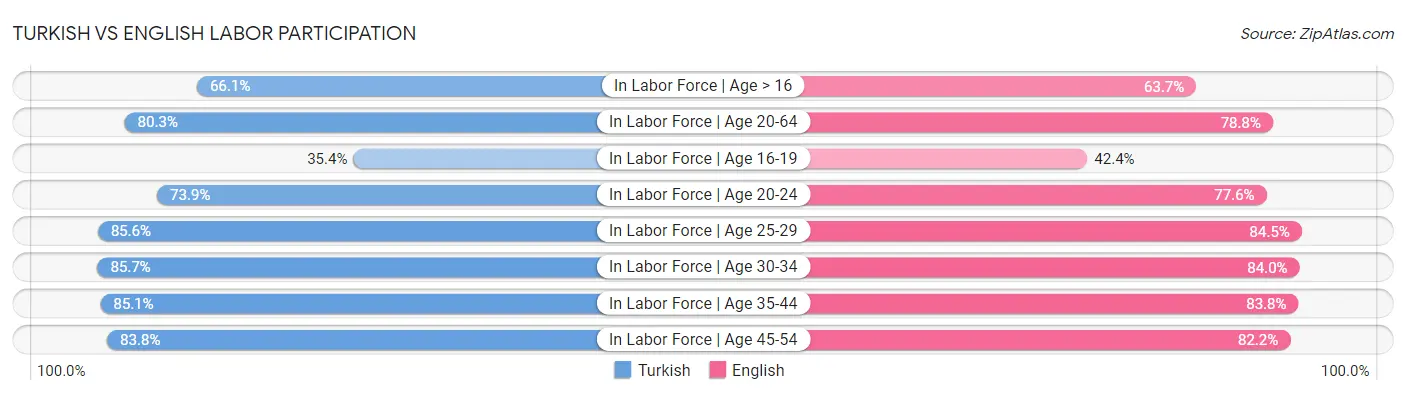 Turkish vs English Labor Participation