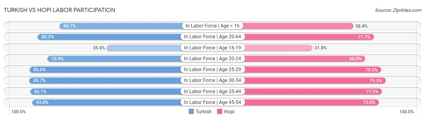 Turkish vs Hopi Labor Participation