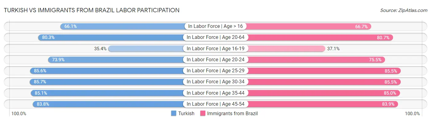 Turkish vs Immigrants from Brazil Labor Participation