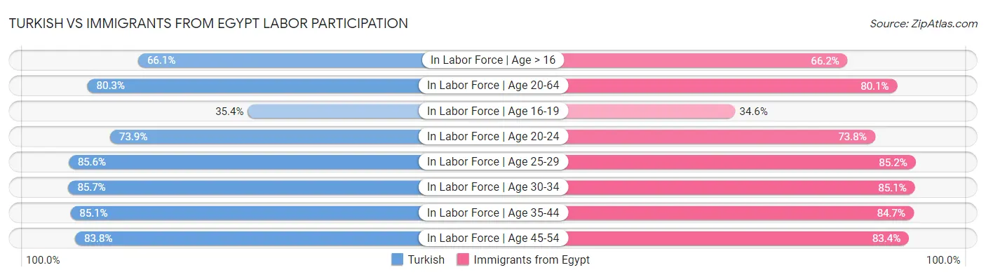 Turkish vs Immigrants from Egypt Labor Participation