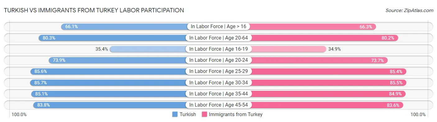 Turkish vs Immigrants from Turkey Labor Participation