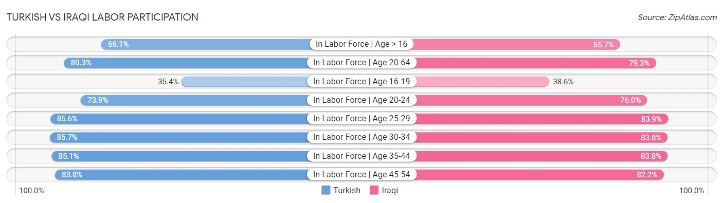 Turkish vs Iraqi Labor Participation