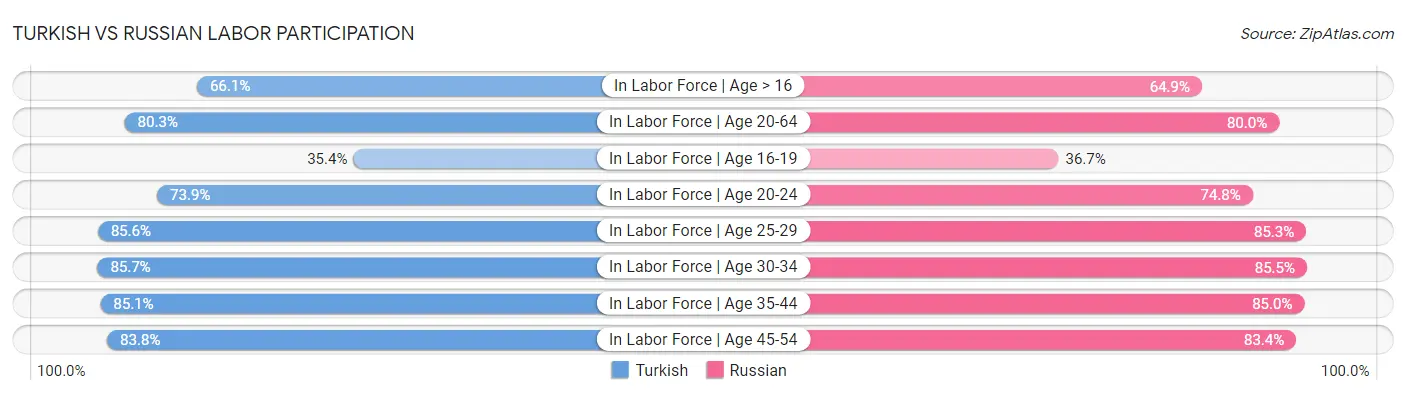 Turkish vs Russian Labor Participation