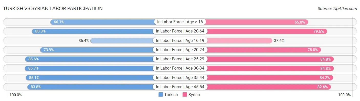 Turkish vs Syrian Labor Participation