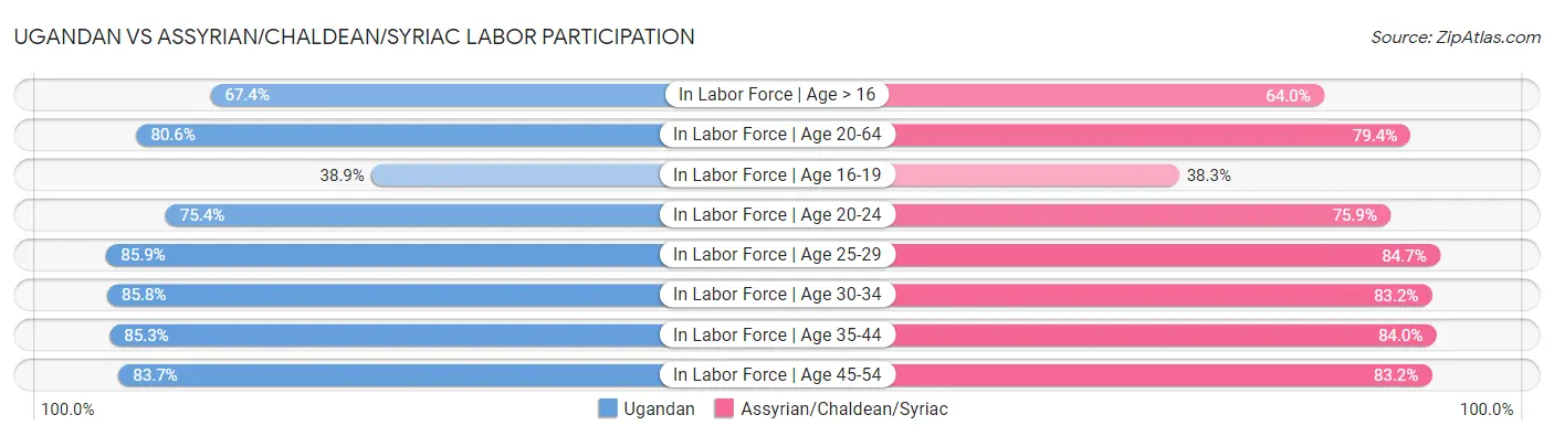 Ugandan vs Assyrian/Chaldean/Syriac Labor Participation