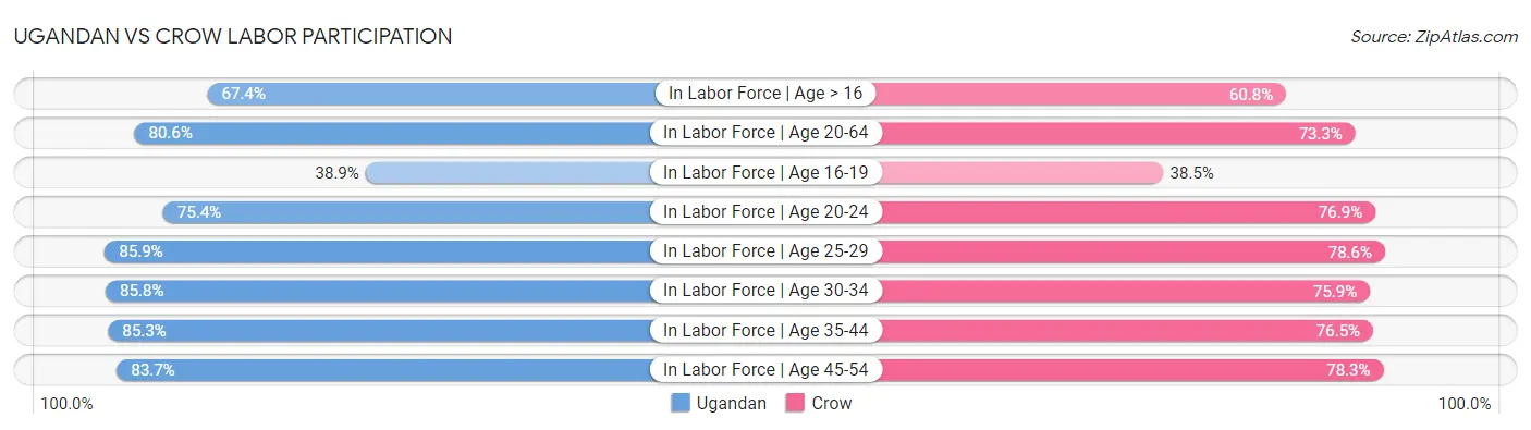 Ugandan vs Crow Labor Participation