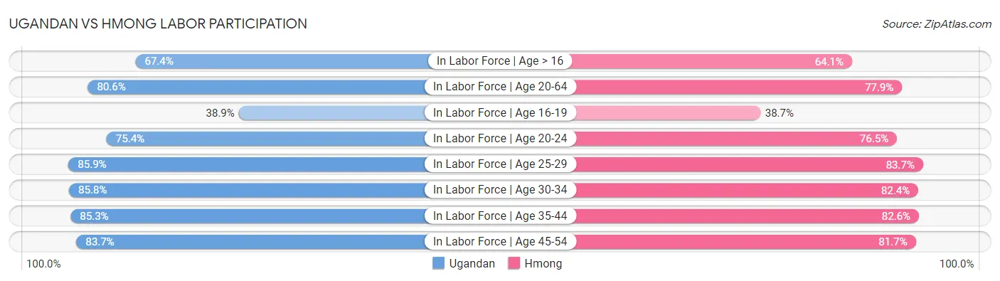 Ugandan vs Hmong Labor Participation