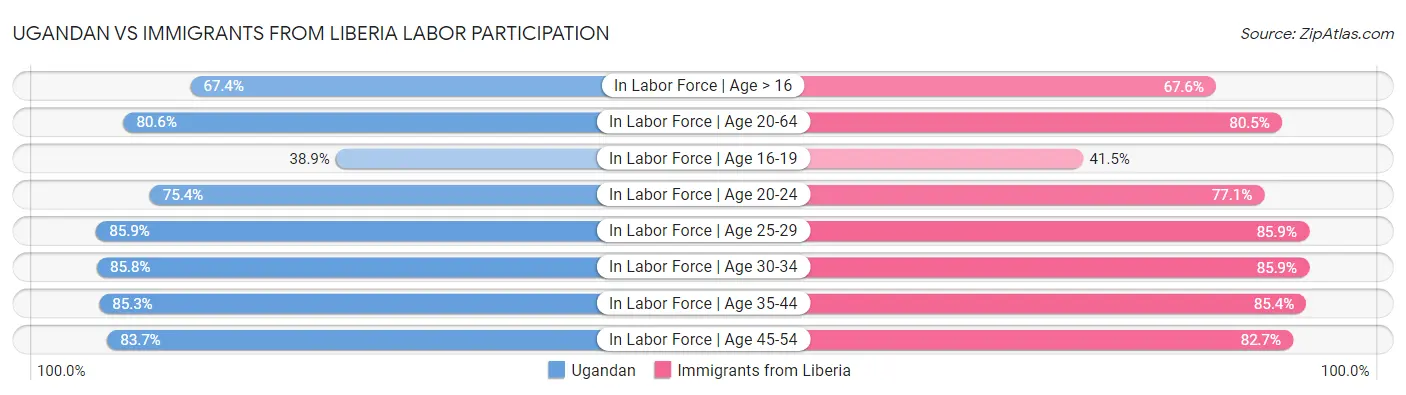 Ugandan vs Immigrants from Liberia Labor Participation