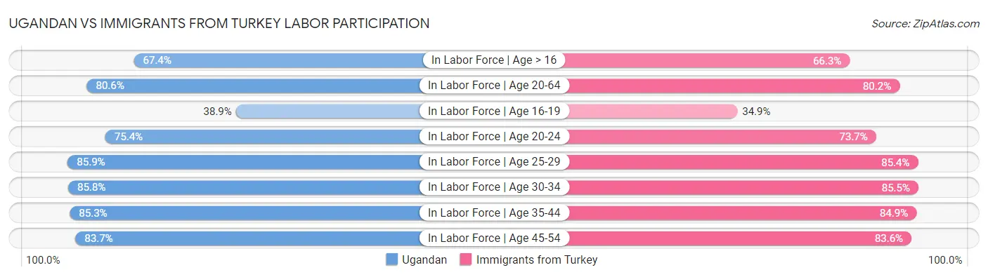 Ugandan vs Immigrants from Turkey Labor Participation