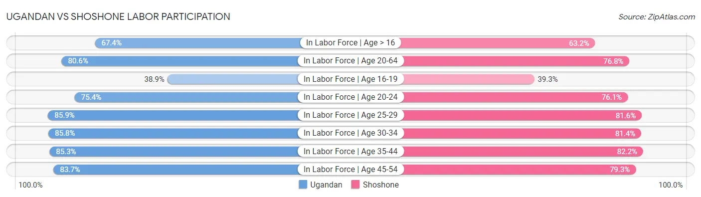 Ugandan vs Shoshone Labor Participation