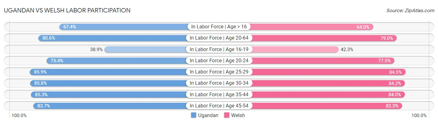 Ugandan vs Welsh Labor Participation