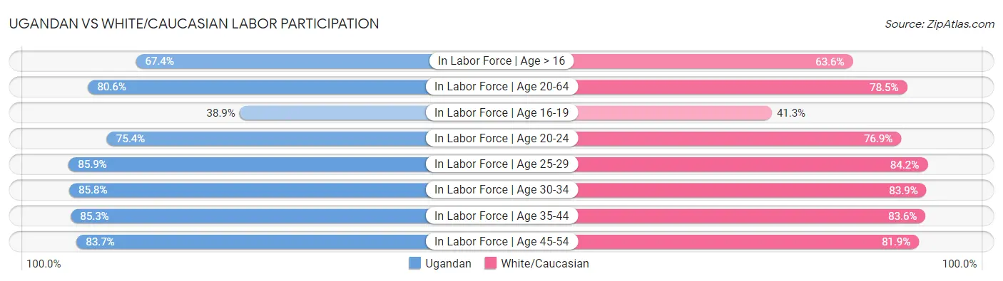 Ugandan vs White/Caucasian Labor Participation
