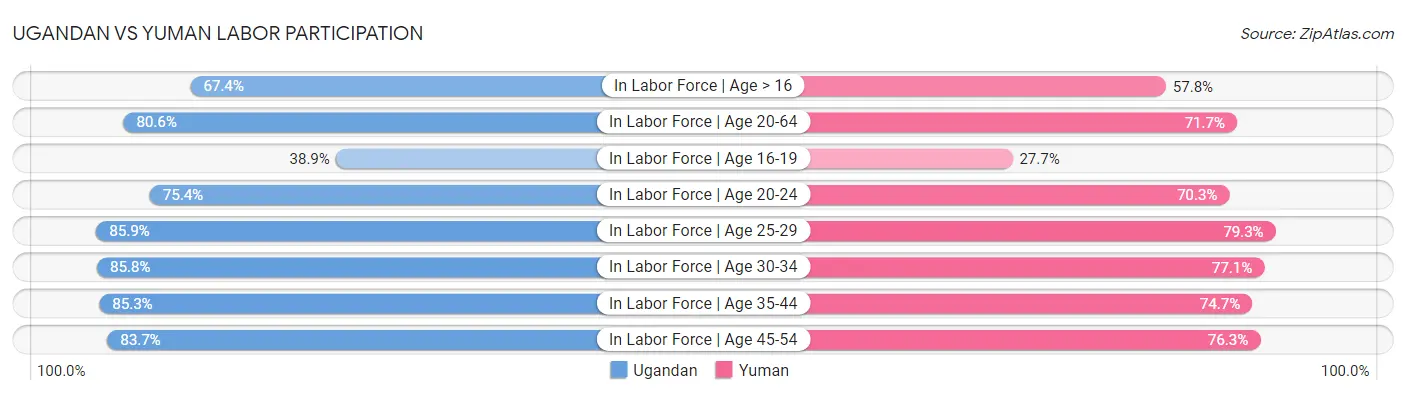 Ugandan vs Yuman Labor Participation