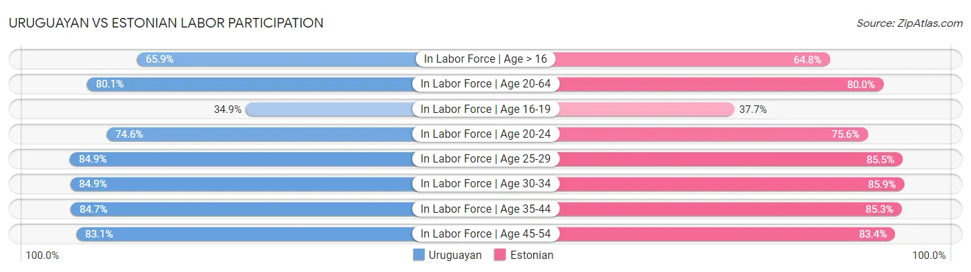 Uruguayan vs Estonian Labor Participation