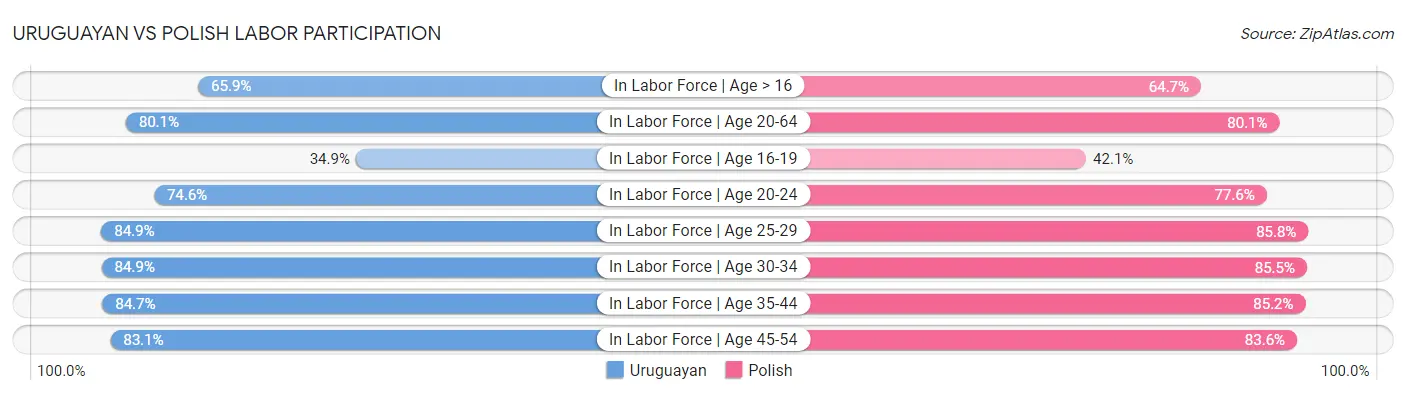 Uruguayan vs Polish Labor Participation