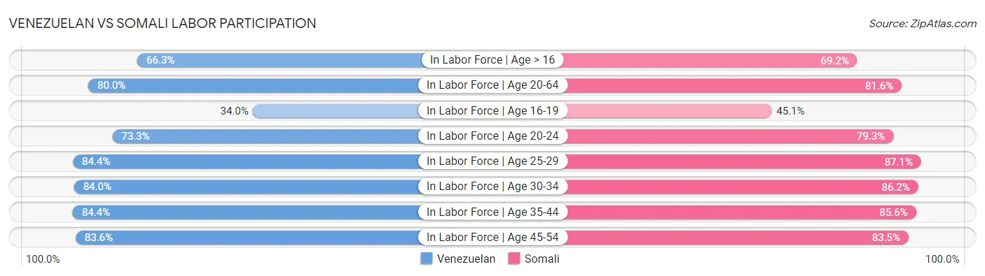 Venezuelan vs Somali Labor Participation