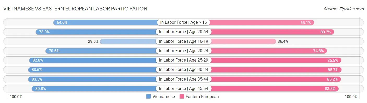 Vietnamese vs Eastern European Labor Participation