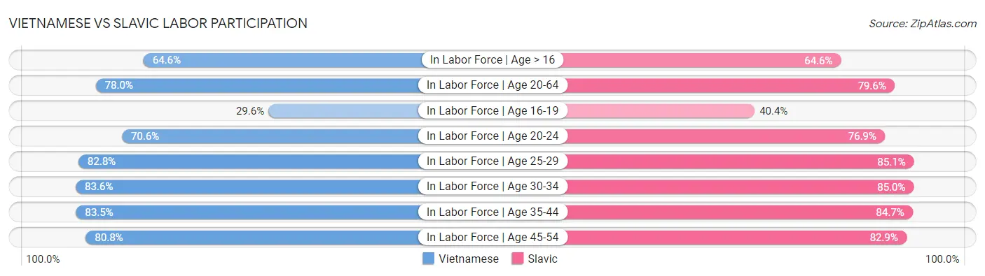 Vietnamese vs Slavic Labor Participation