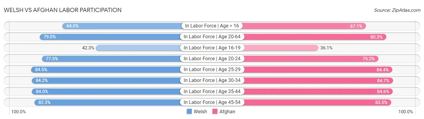 Welsh vs Afghan Labor Participation