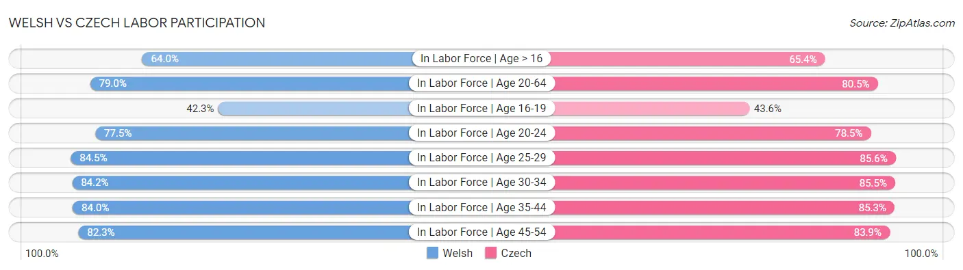 Welsh vs Czech Labor Participation