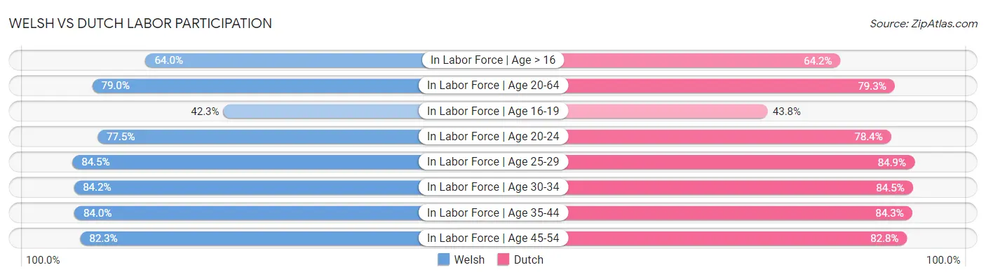 Welsh vs Dutch Labor Participation