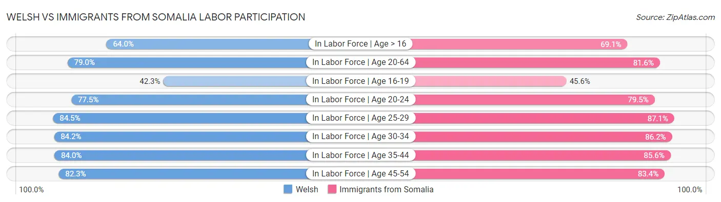 Welsh vs Immigrants from Somalia Labor Participation