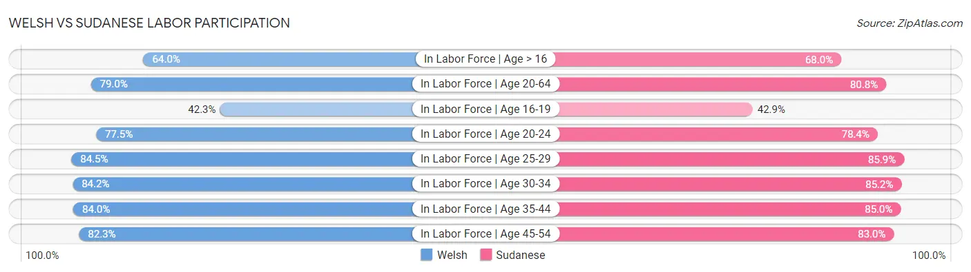 Welsh vs Sudanese Labor Participation