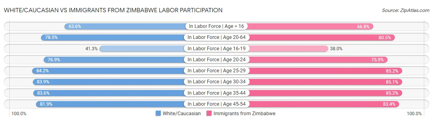 White/Caucasian vs Immigrants from Zimbabwe Labor Participation