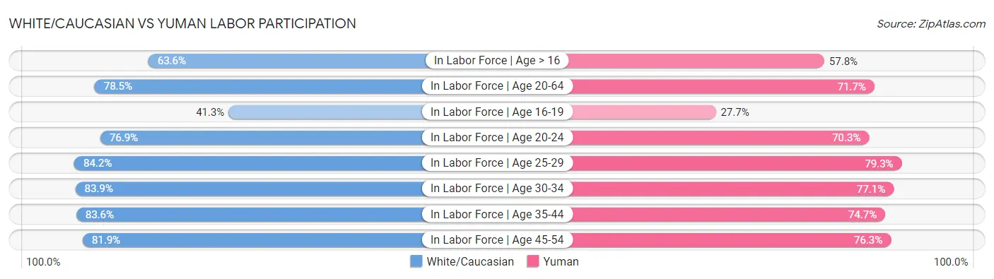 White/Caucasian vs Yuman Labor Participation