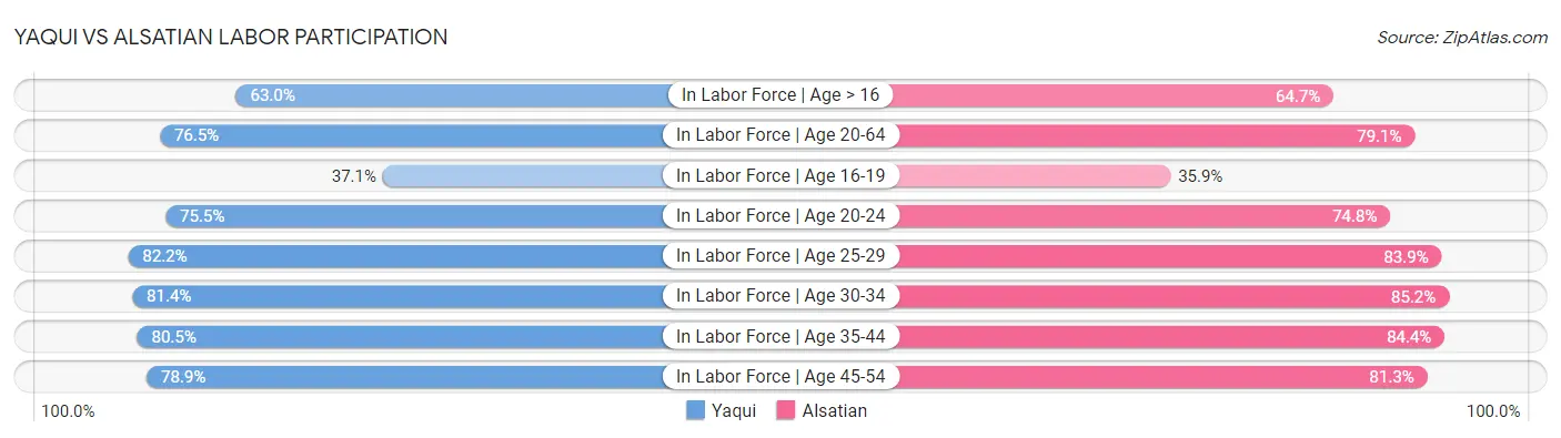 Yaqui vs Alsatian Labor Participation