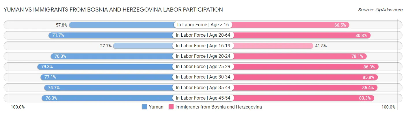 Yuman vs Immigrants from Bosnia and Herzegovina Labor Participation