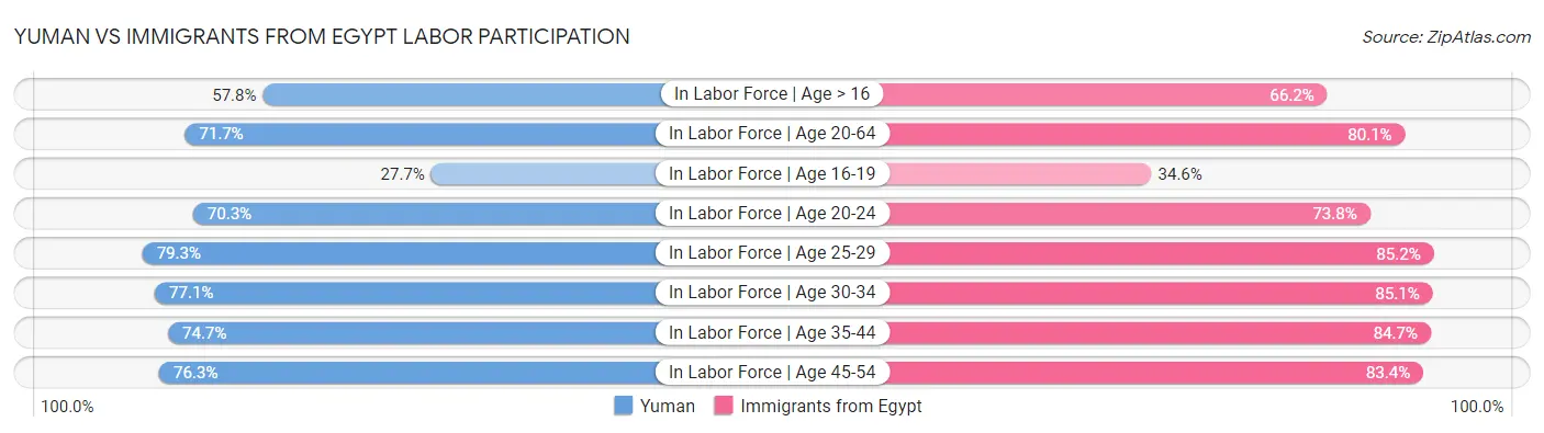 Yuman vs Immigrants from Egypt Labor Participation