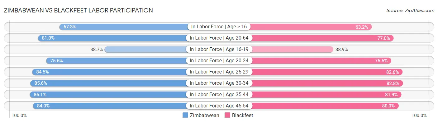 Zimbabwean vs Blackfeet Labor Participation