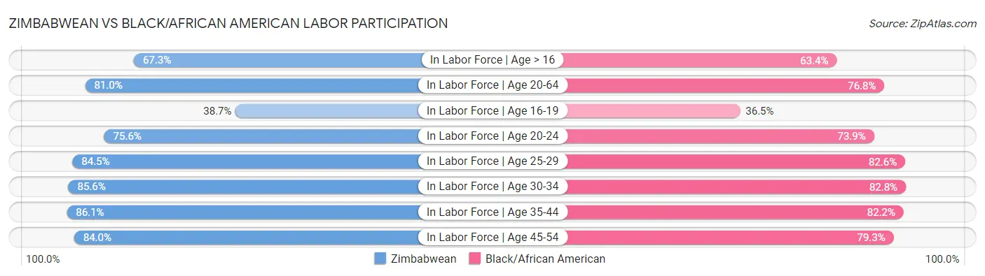 Zimbabwean vs Black/African American Labor Participation