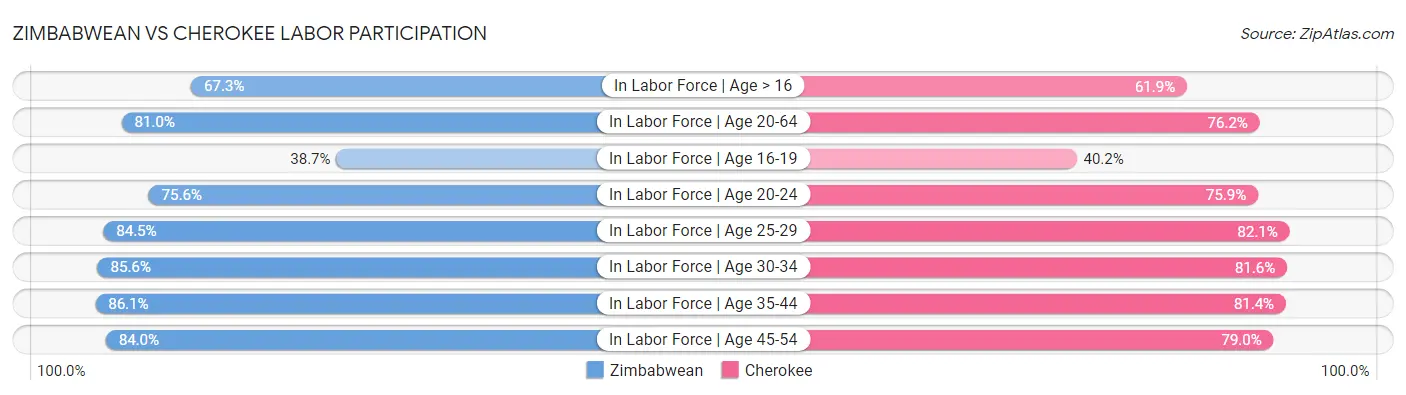 Zimbabwean vs Cherokee Labor Participation