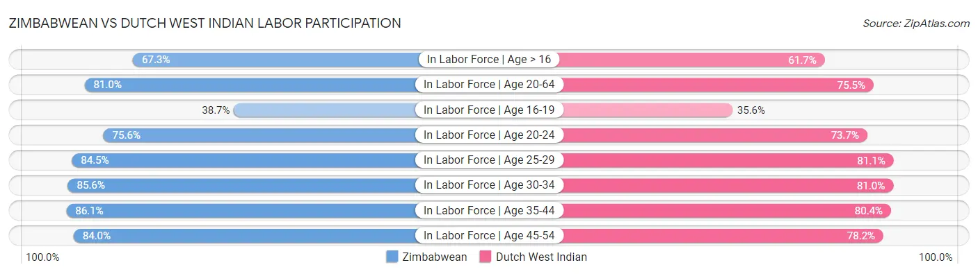 Zimbabwean vs Dutch West Indian Labor Participation
